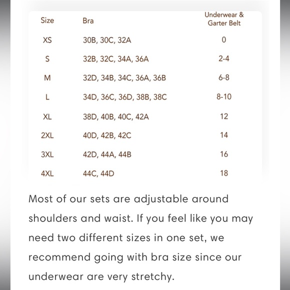 NWT three piece lingerie set - Picture 3 of 3